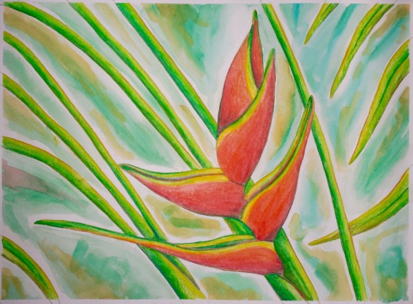 Level IV-Lesson 4: The Hawaiian Heliconia (Online Art Lessons for Kids | ArtAchieve)